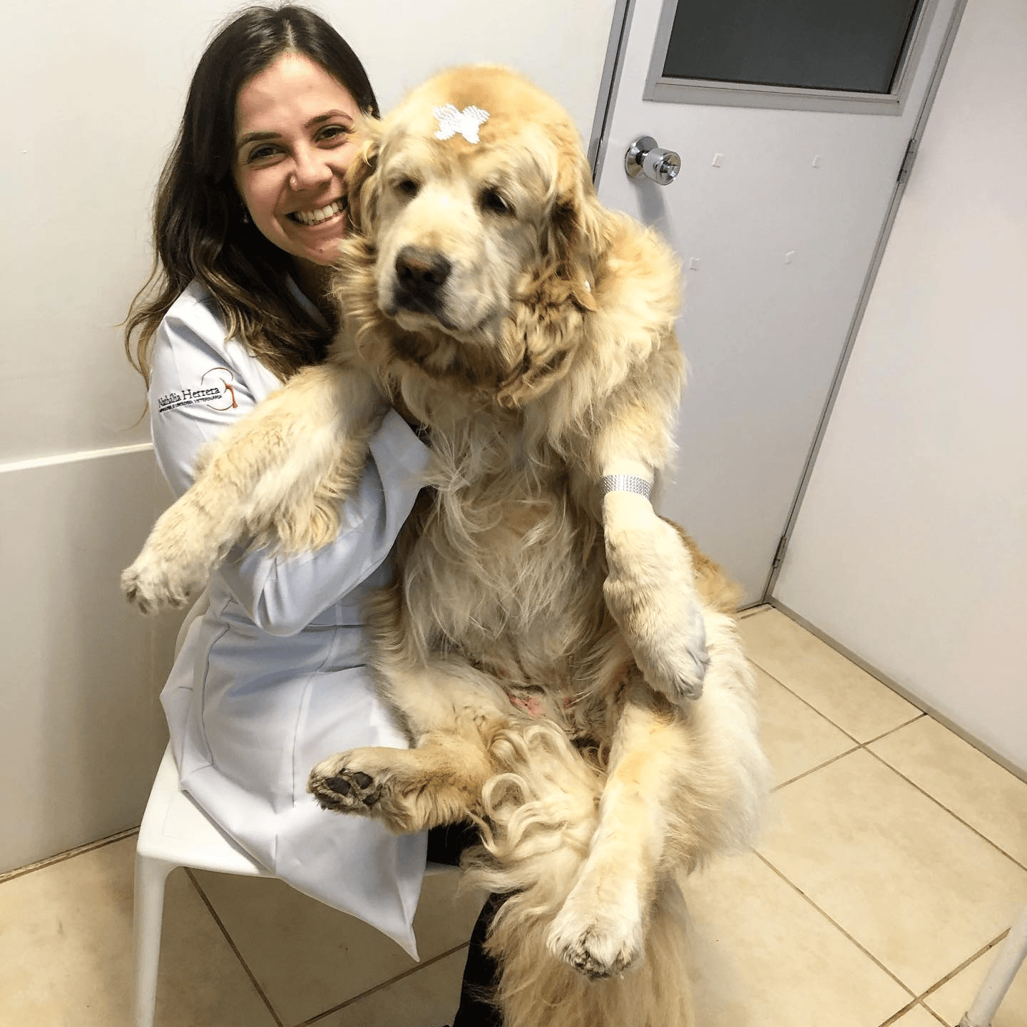 Nathália Herrera, de jaleco, abraçando um golden retriever no consultório